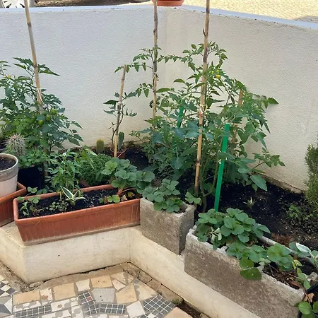 Greenth Avenue Гостевой дом