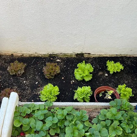 Гостевой дом Greenth Avenue *